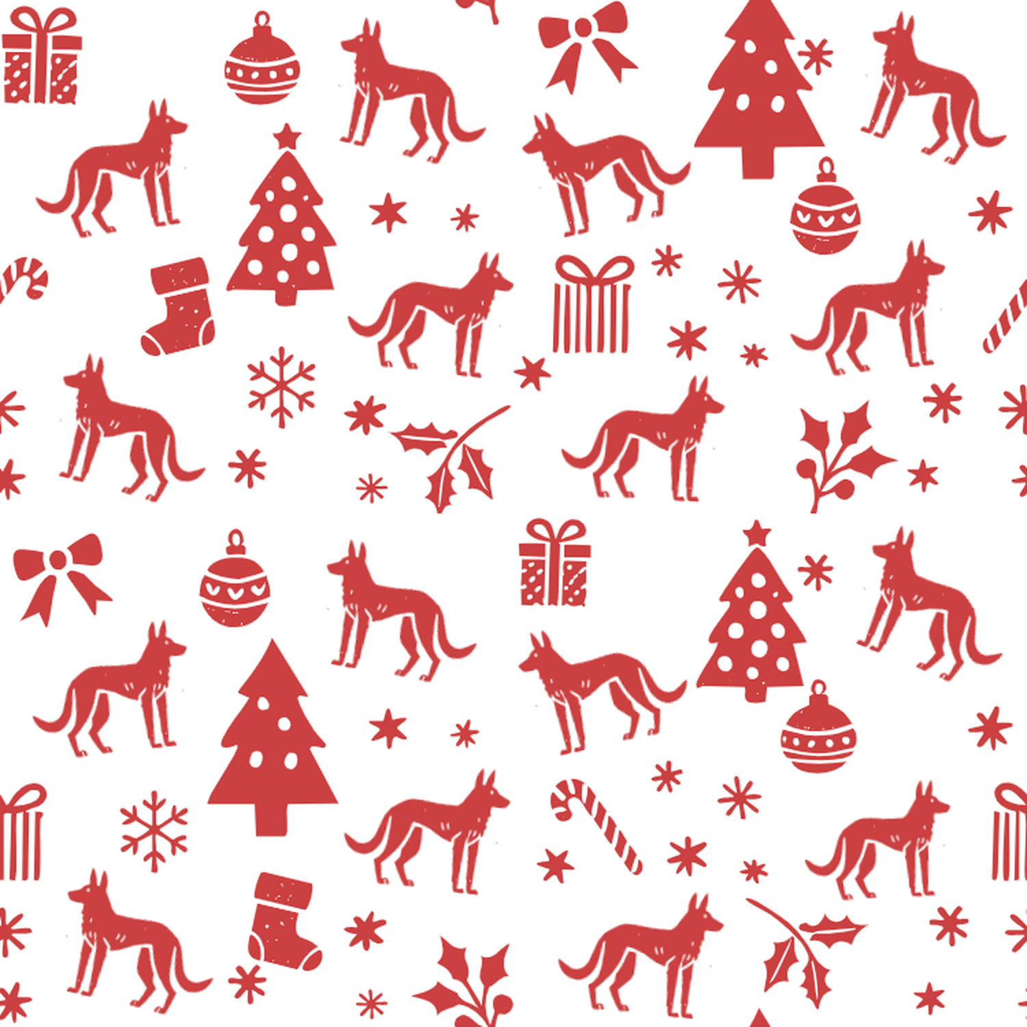 Africanis and Red Christmas Symbols