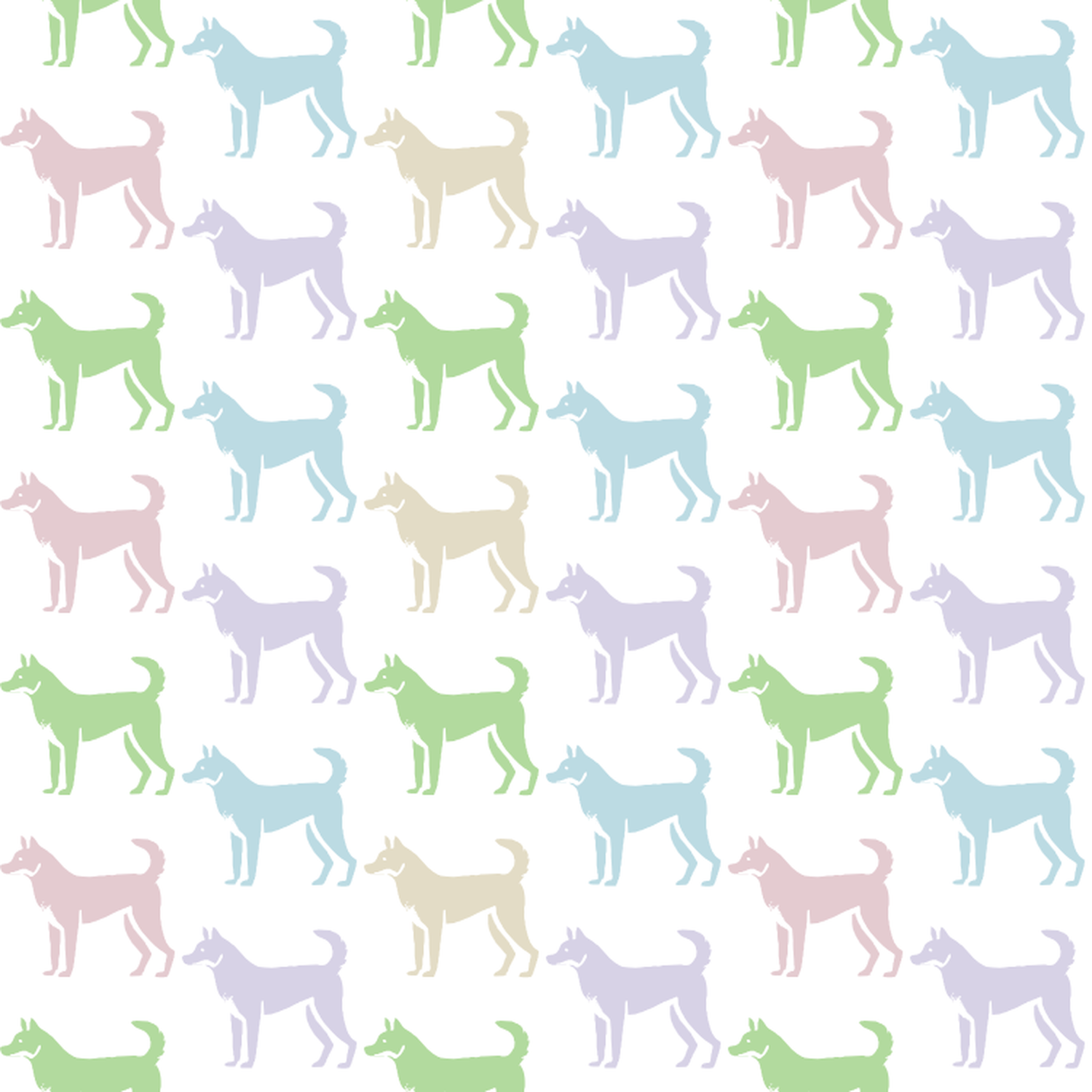 Pastel Candy Colored Canaan Dogs