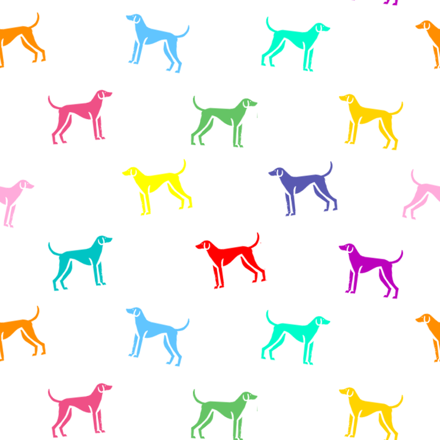 A rainbow of English Foxhounds