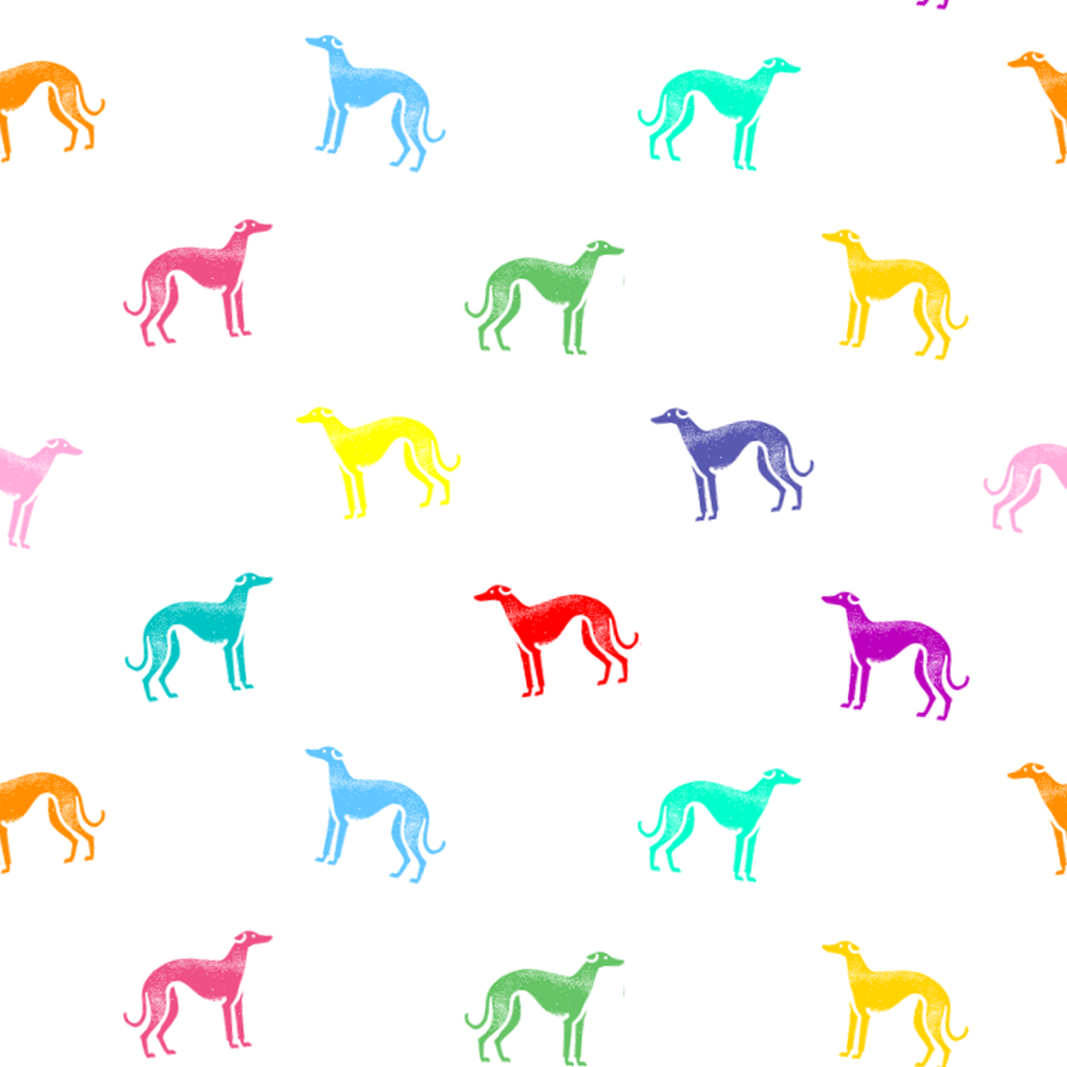 A rainbow of Greyhounds