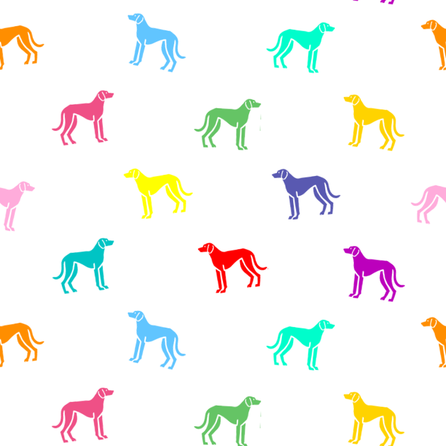 A rainbow of Istrian Shorthaired Hounds