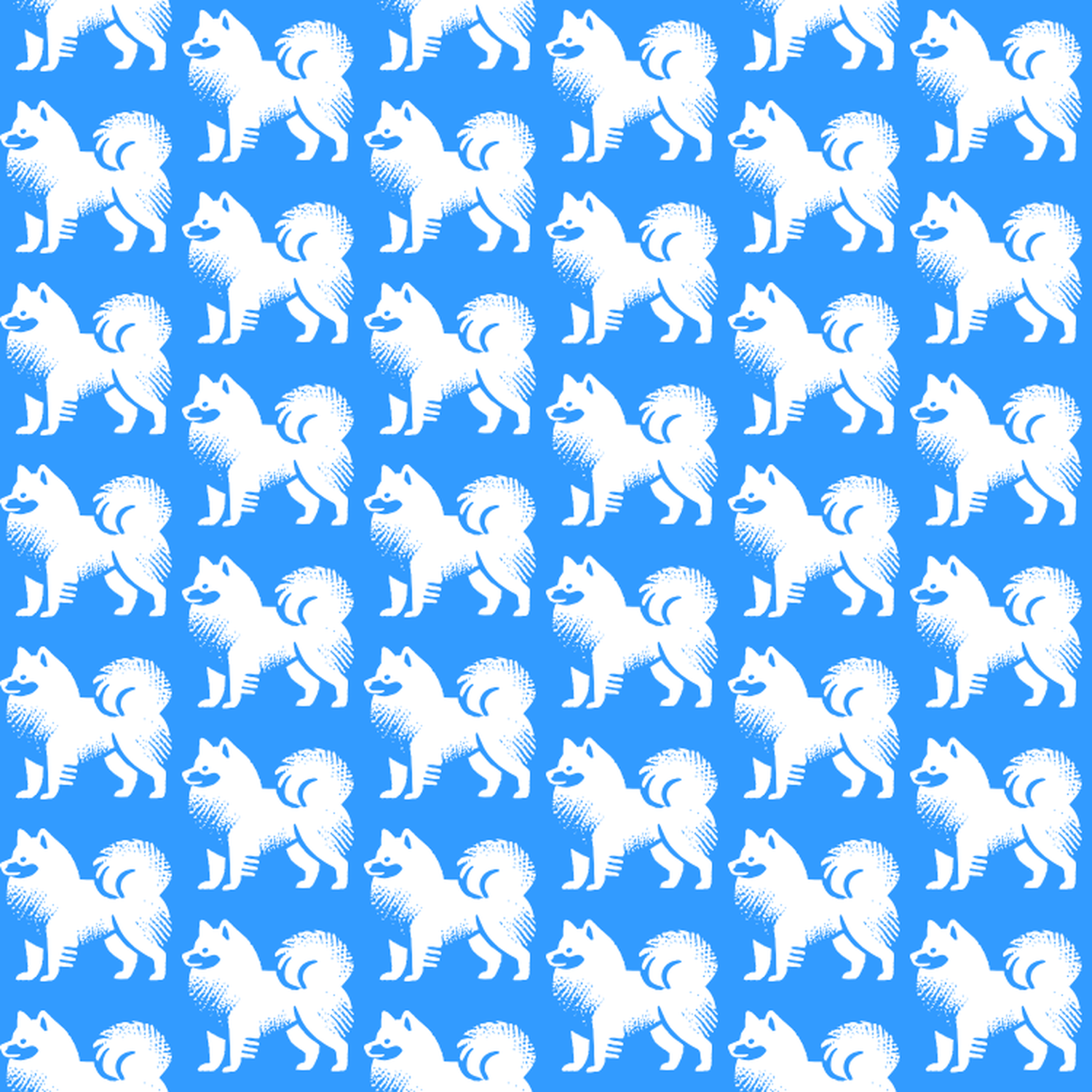 Condensed pattern of Japanese Spitz on a blue background