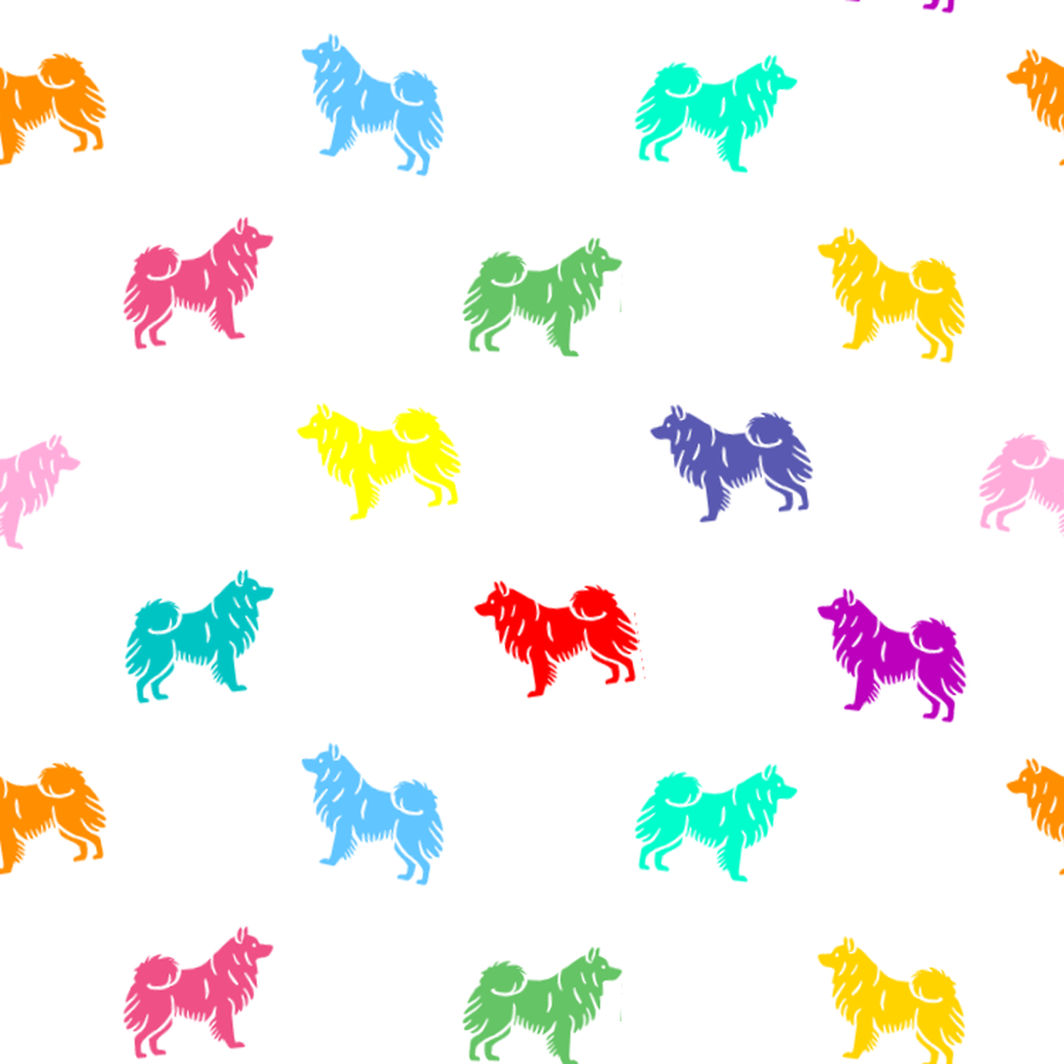 A rainbow of Keeshonds