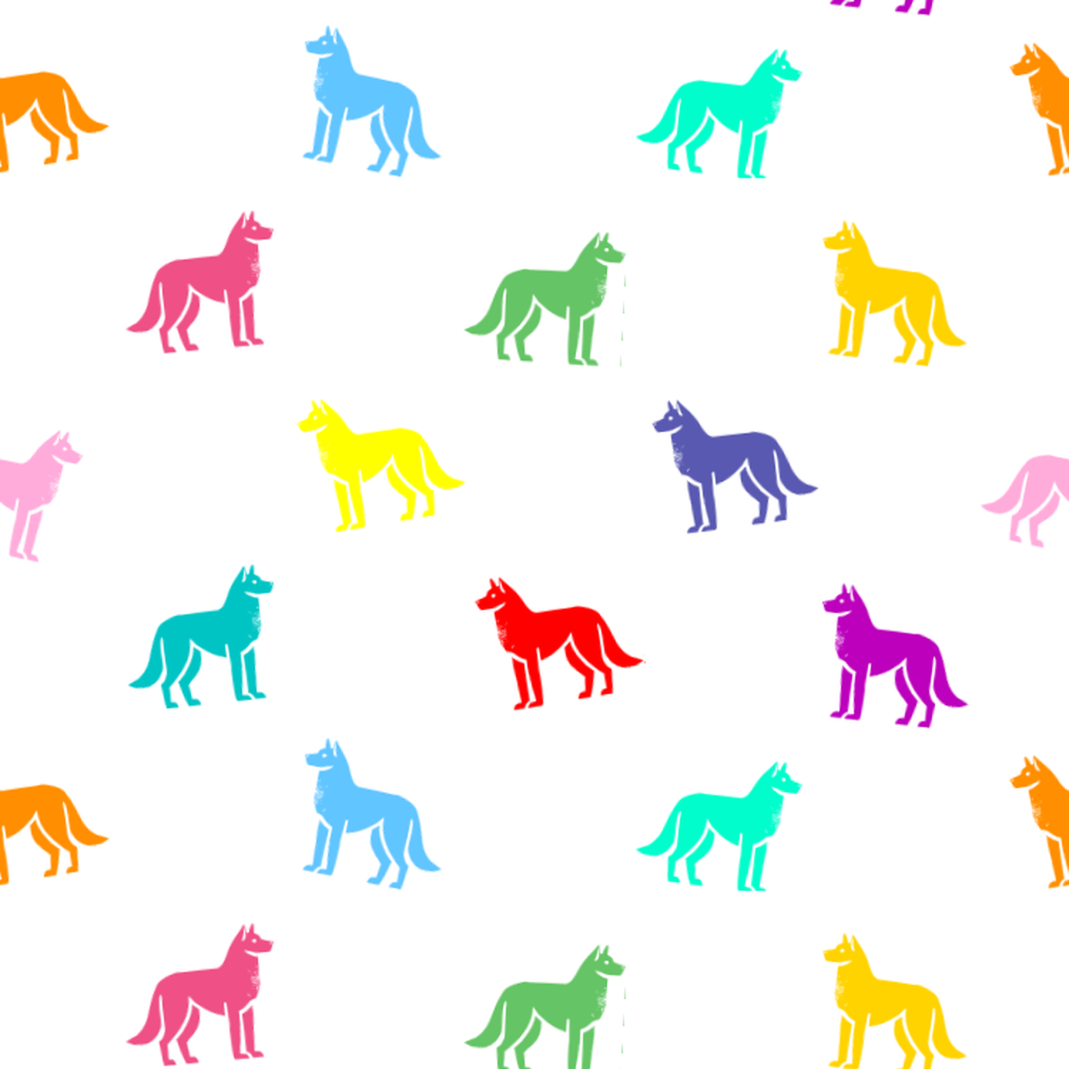 A rainbow of Labrador Huskies