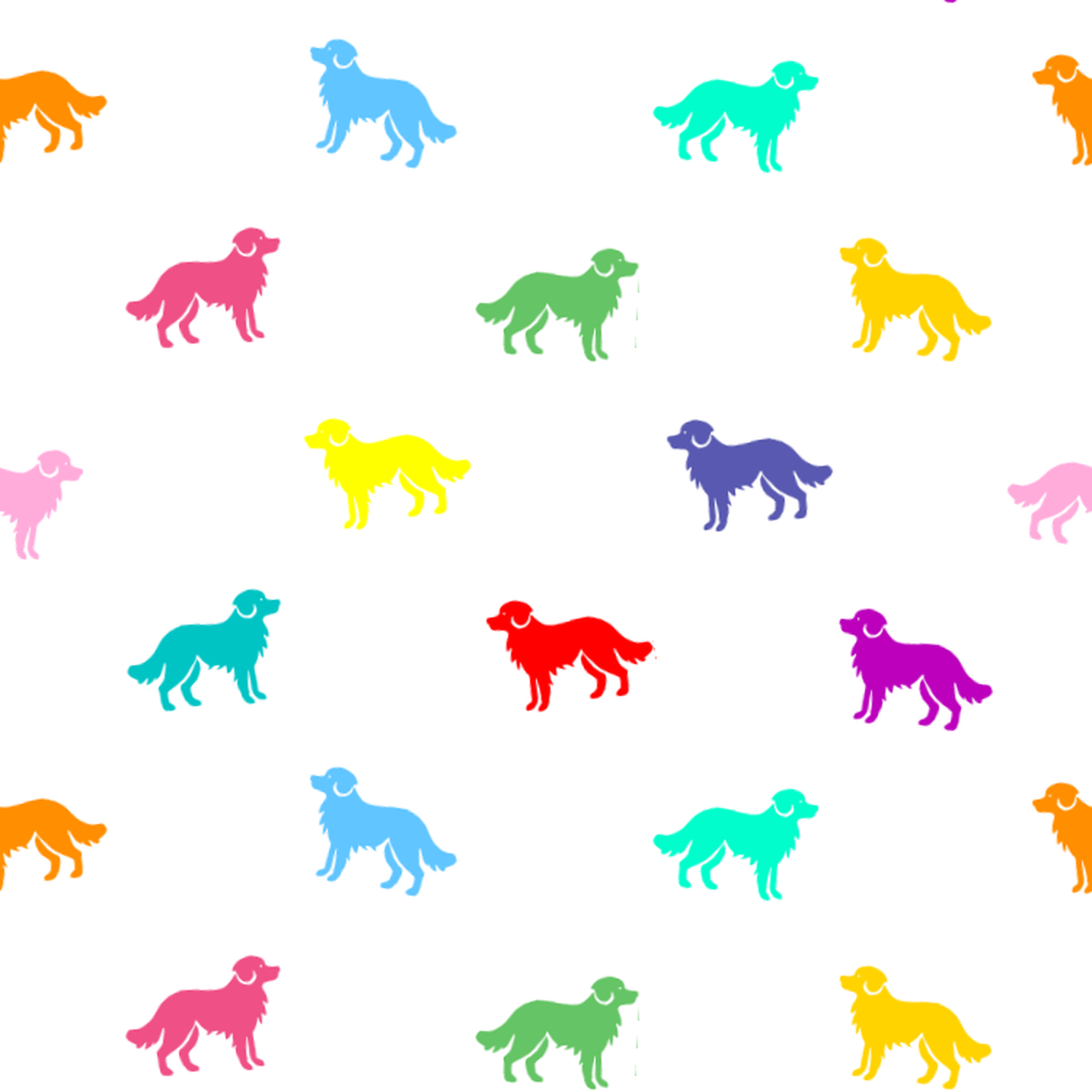 A rainbow of Miniature American Shephers