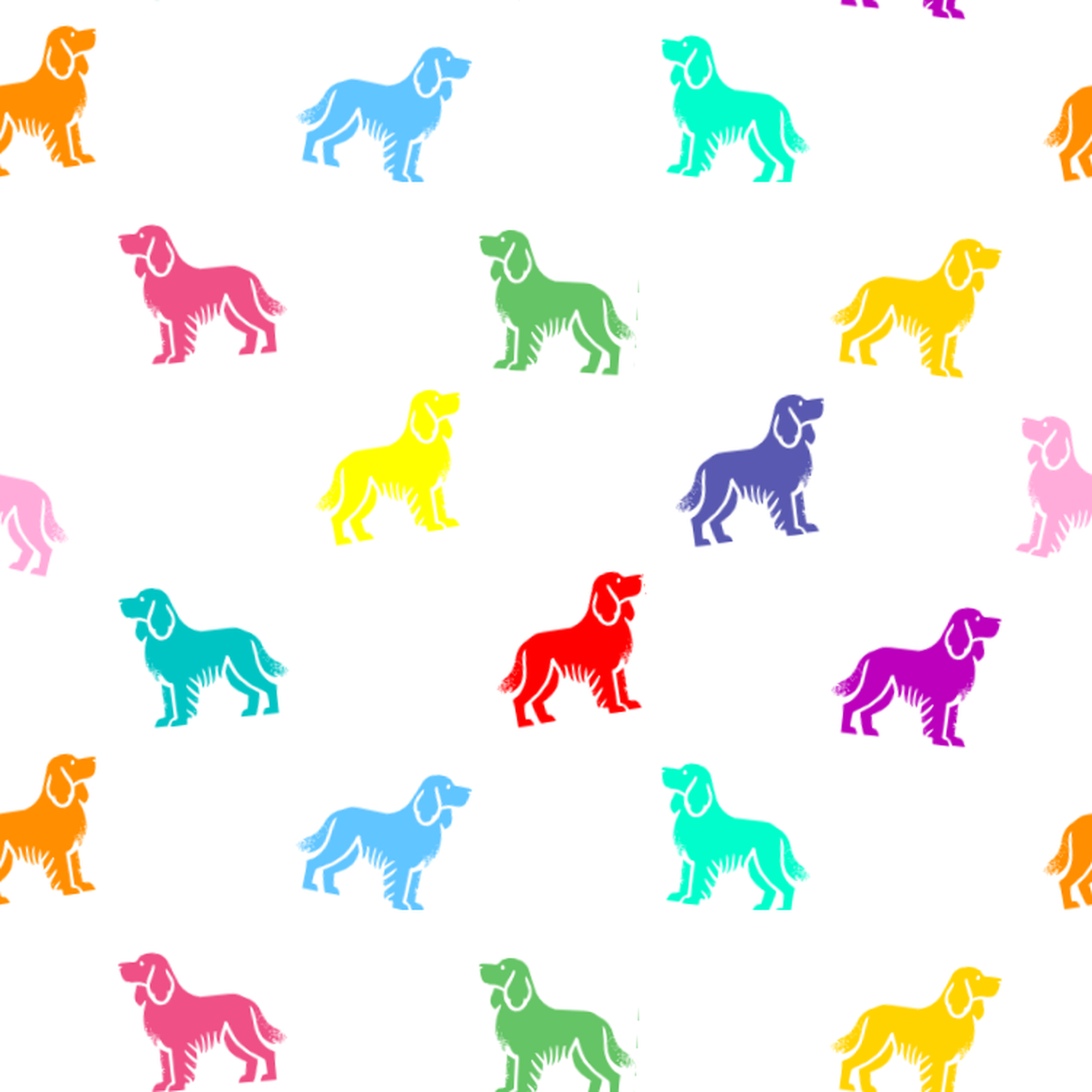 A rainbow of Picardy Spaniels