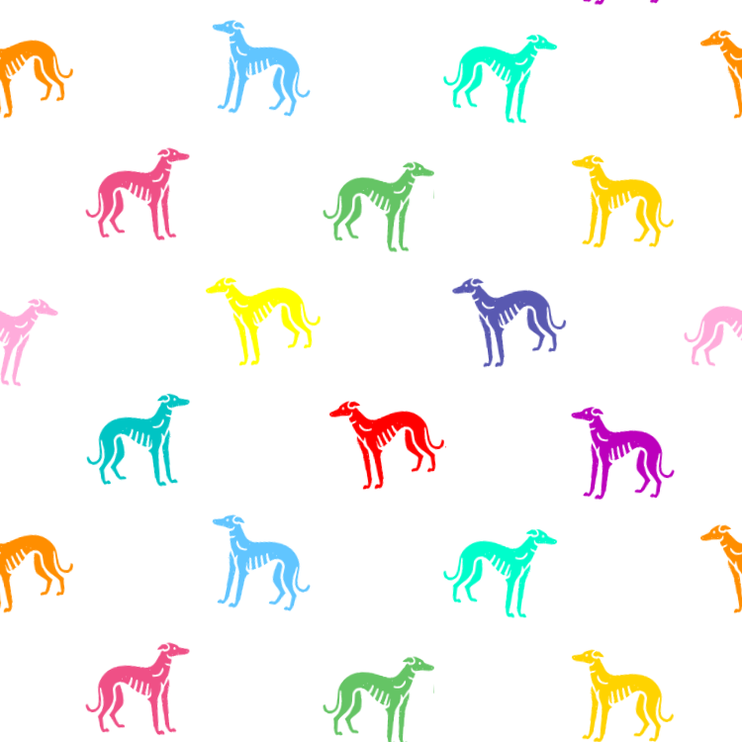 A rainbow of Rampur Greyhounds