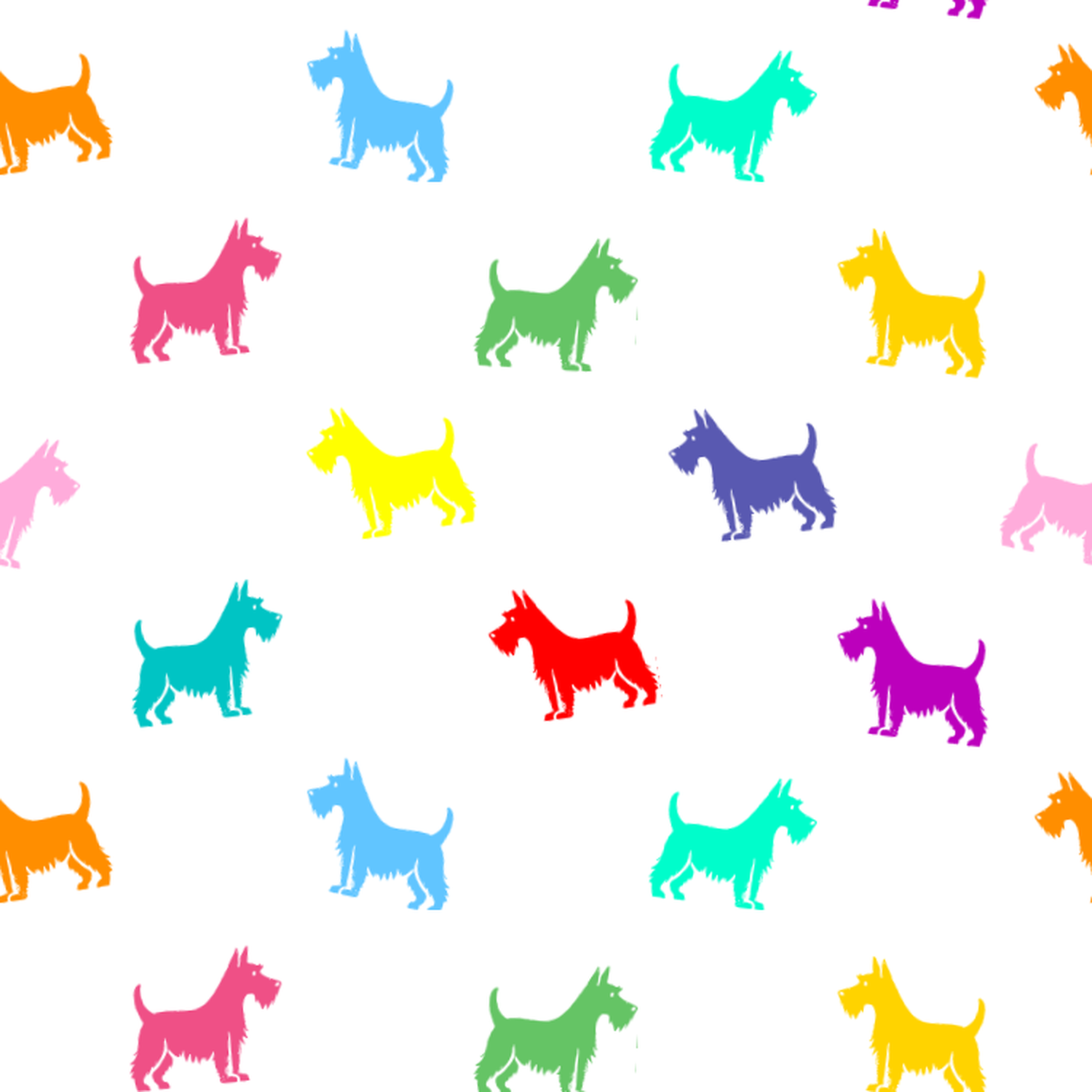 A rainbow of Scottish Terriers