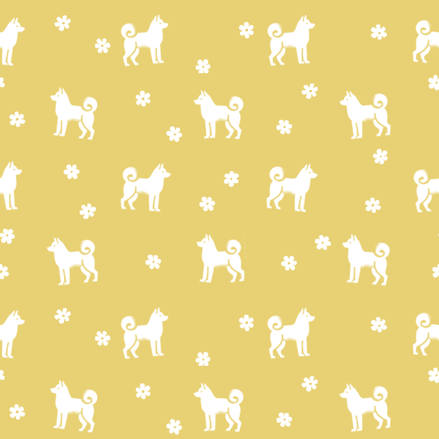 American Eskimo Dog and Yellow Summer Flowers