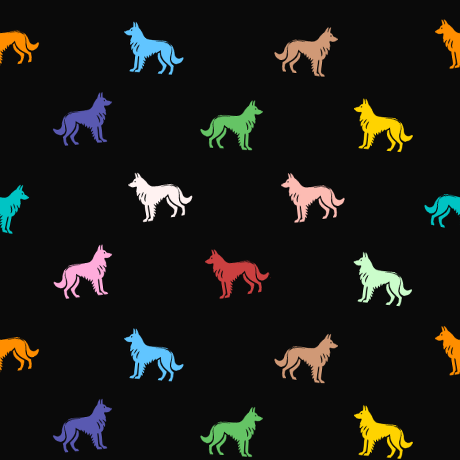 Multicolored Belgian Groenendael Pattern on a Dark Background