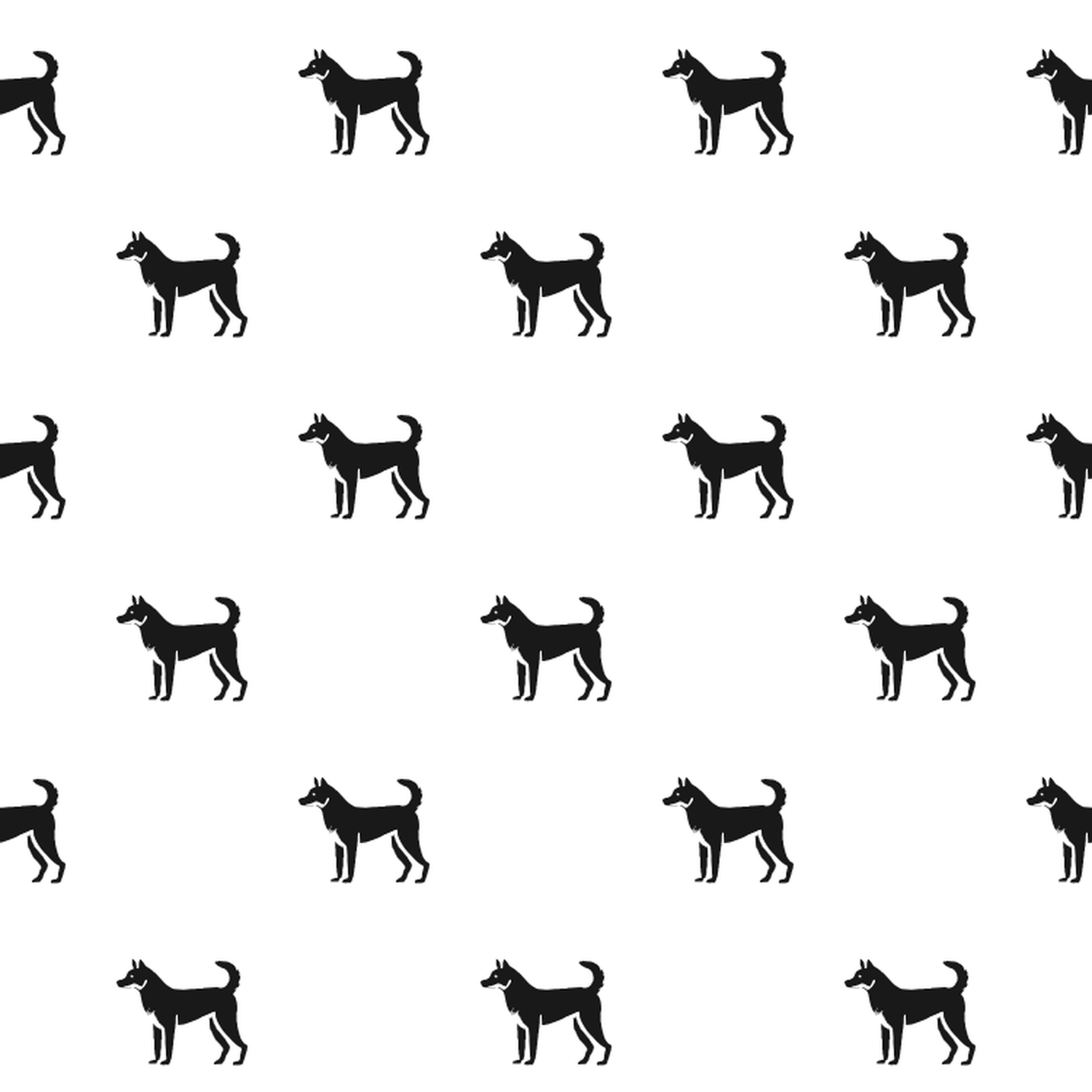 Basic Canaan Dog Pattern