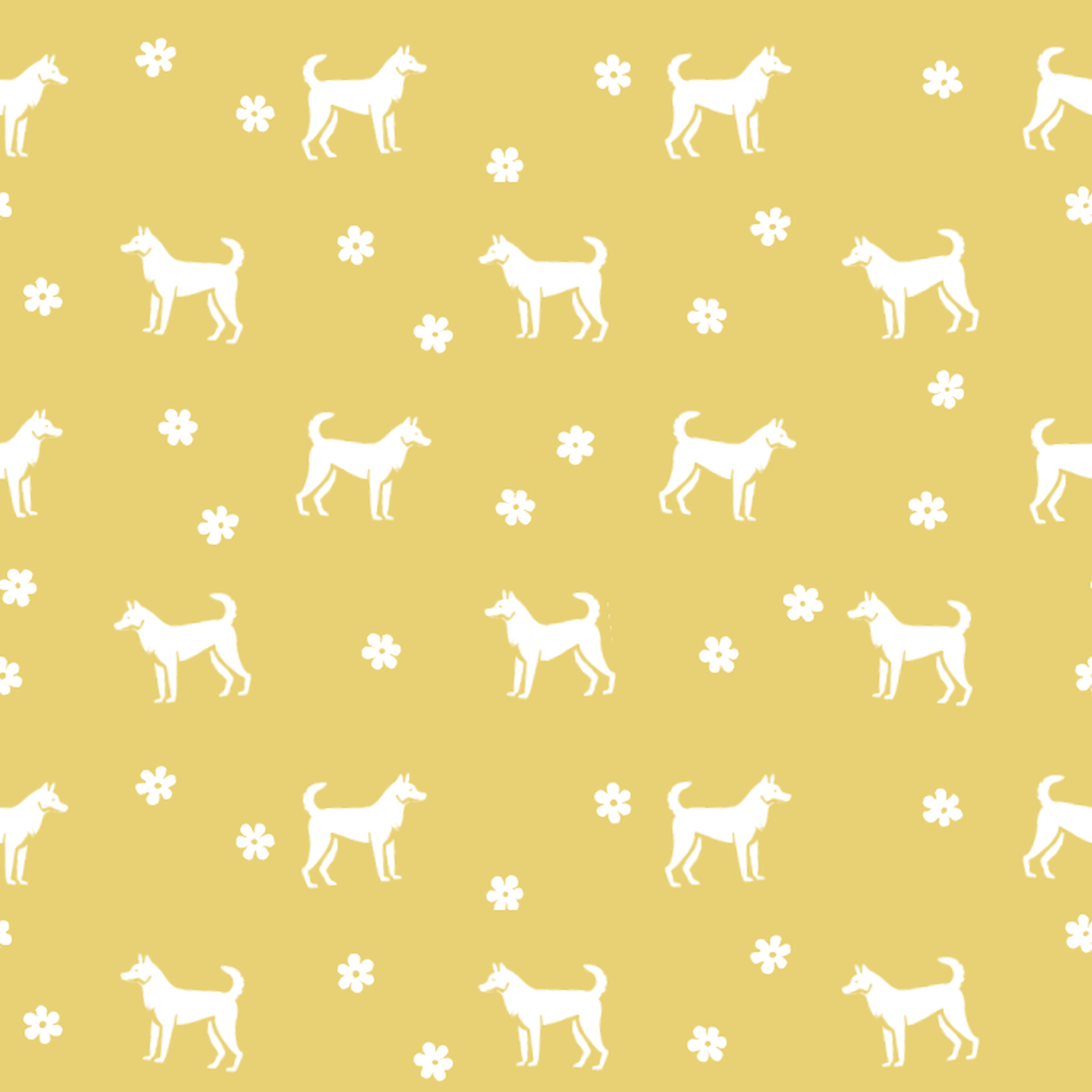 Canaan Dog and Yellow Summer Flowers