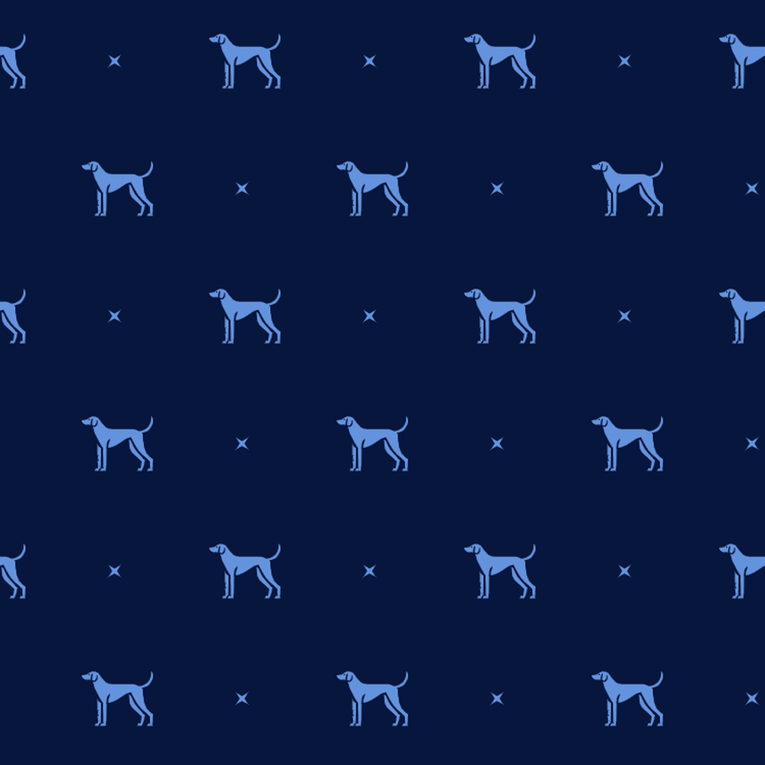 Blue on Blue English Foxhound