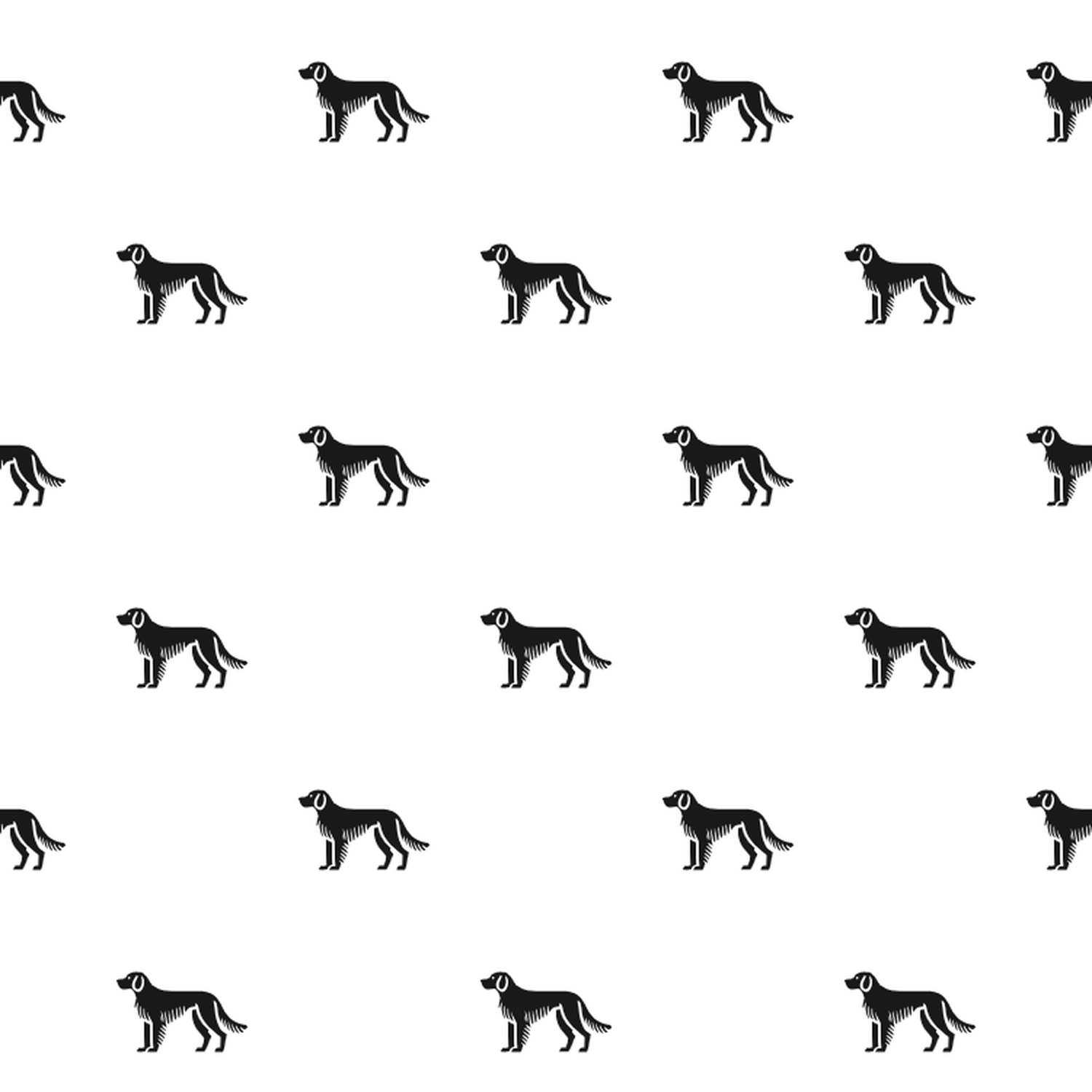 Basic Istrian Coarse-haired Hound Pattern