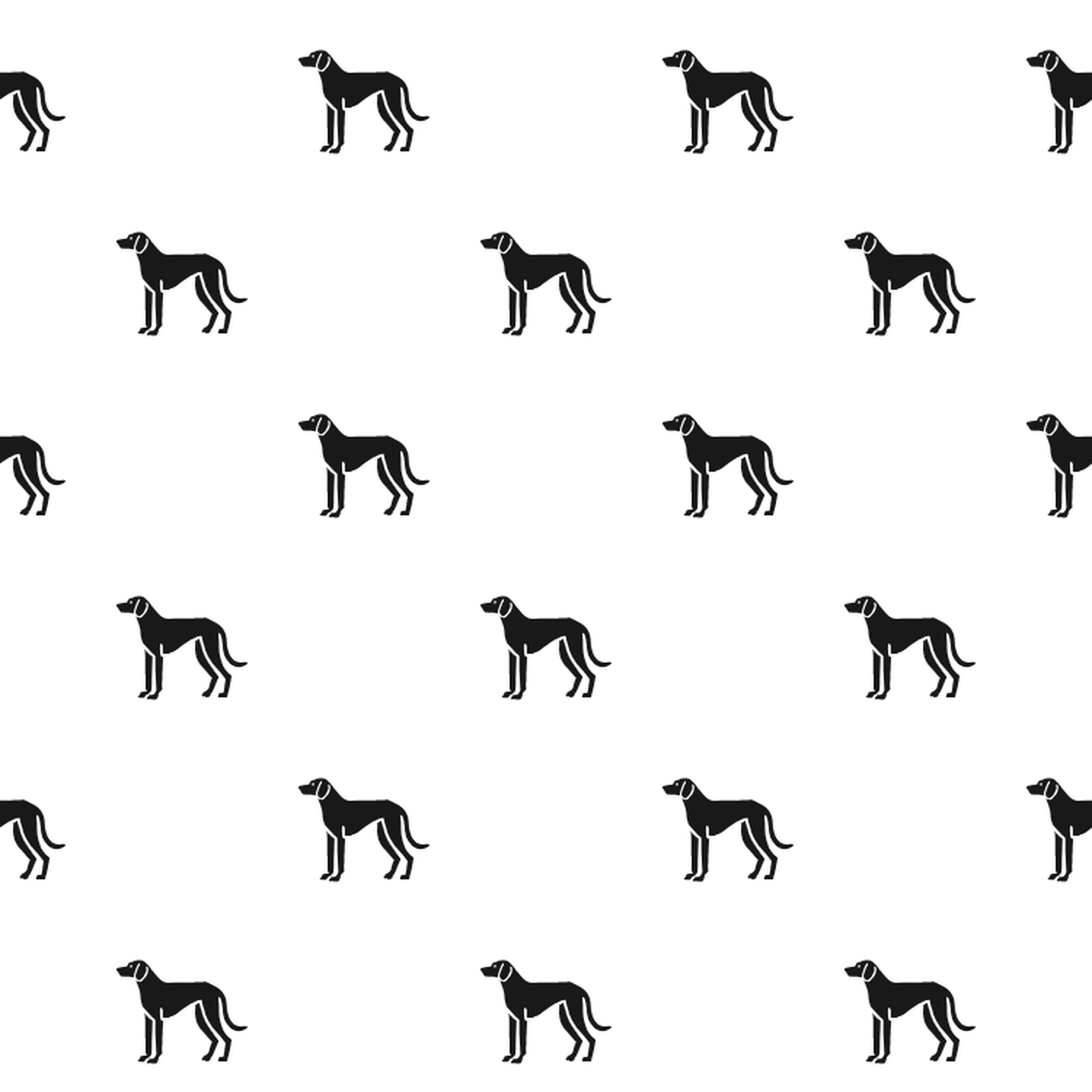 Basic Istrian Shorthaired Hound Pattern