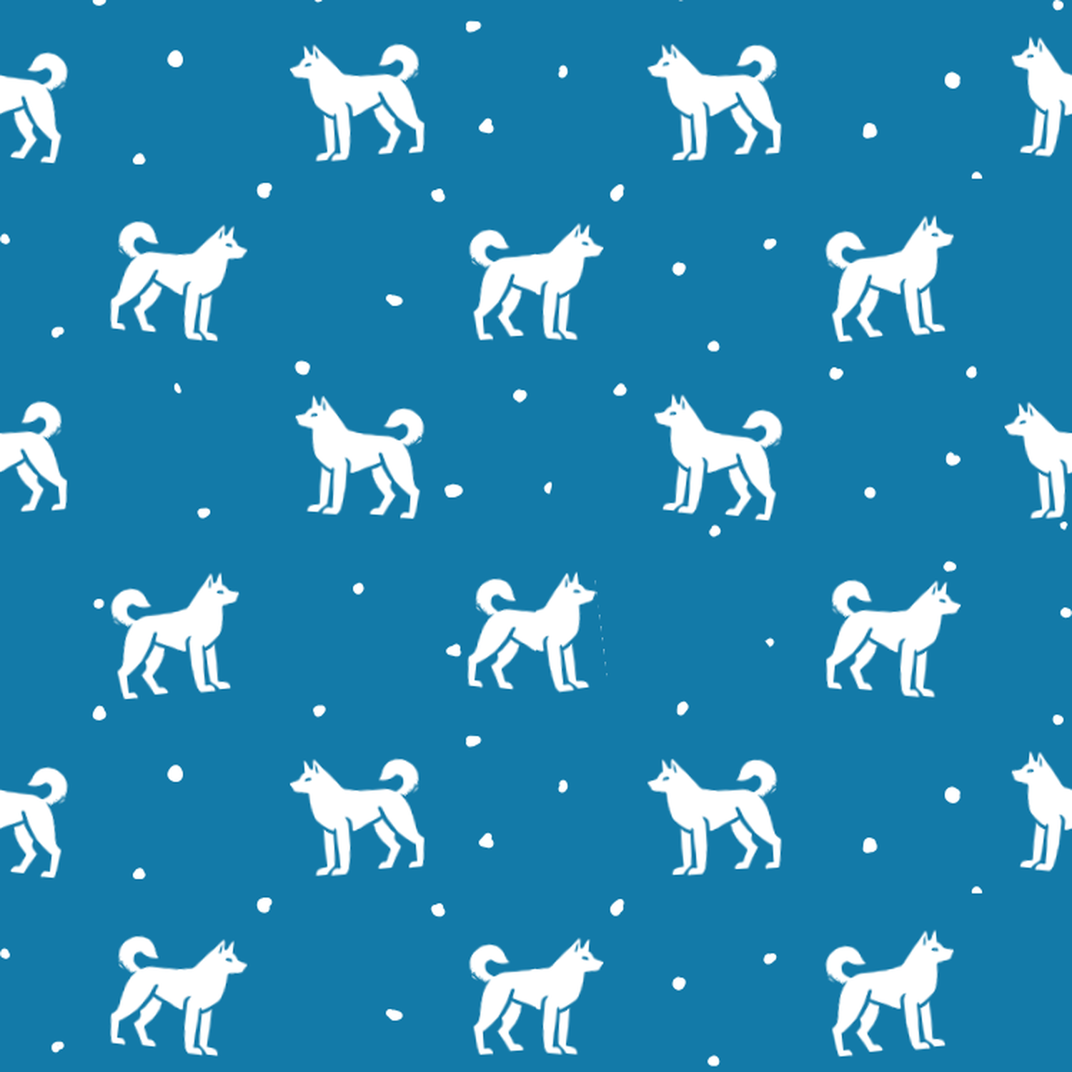 Jindo and Dots on Blue