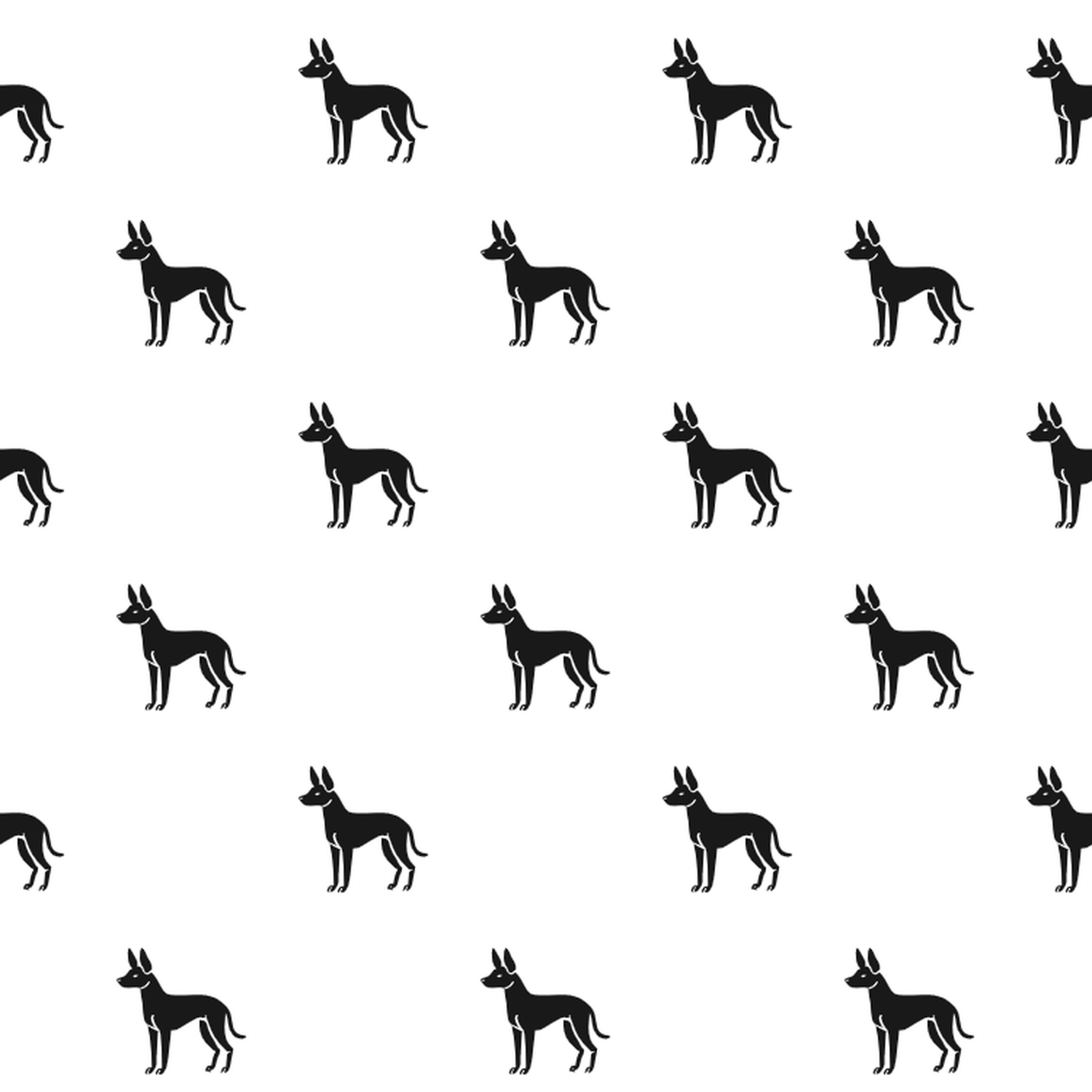 Basic Mexican Hairless Pattern