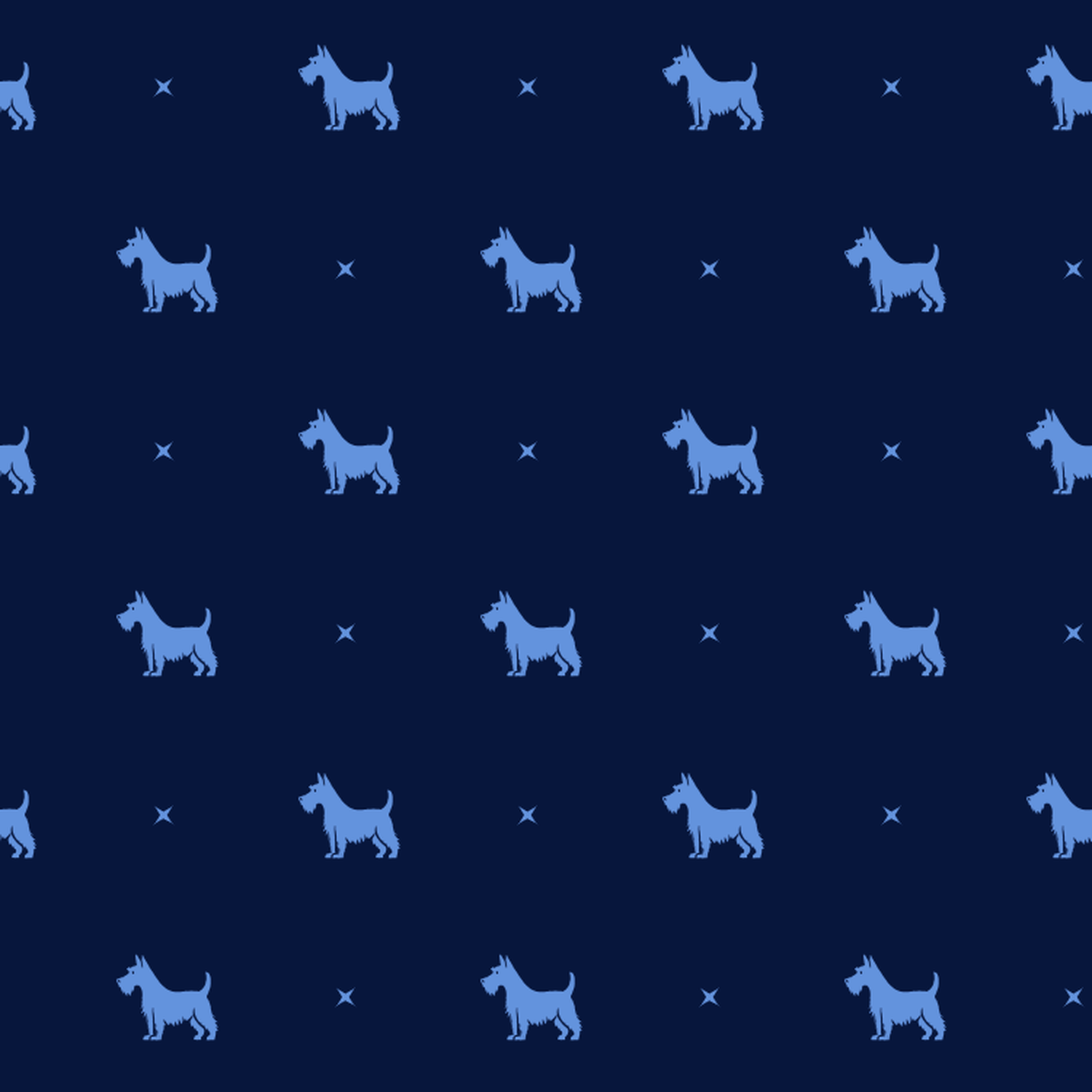 Blue on Blue Scottish Terrier