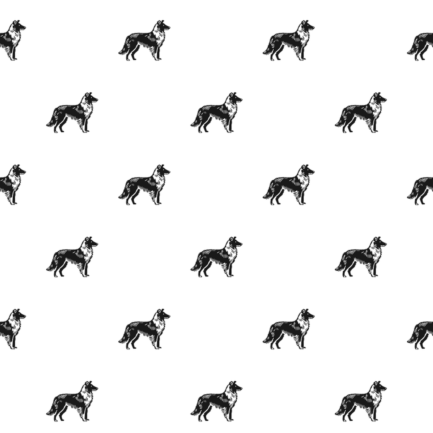 Basic Smooth Collie Pattern