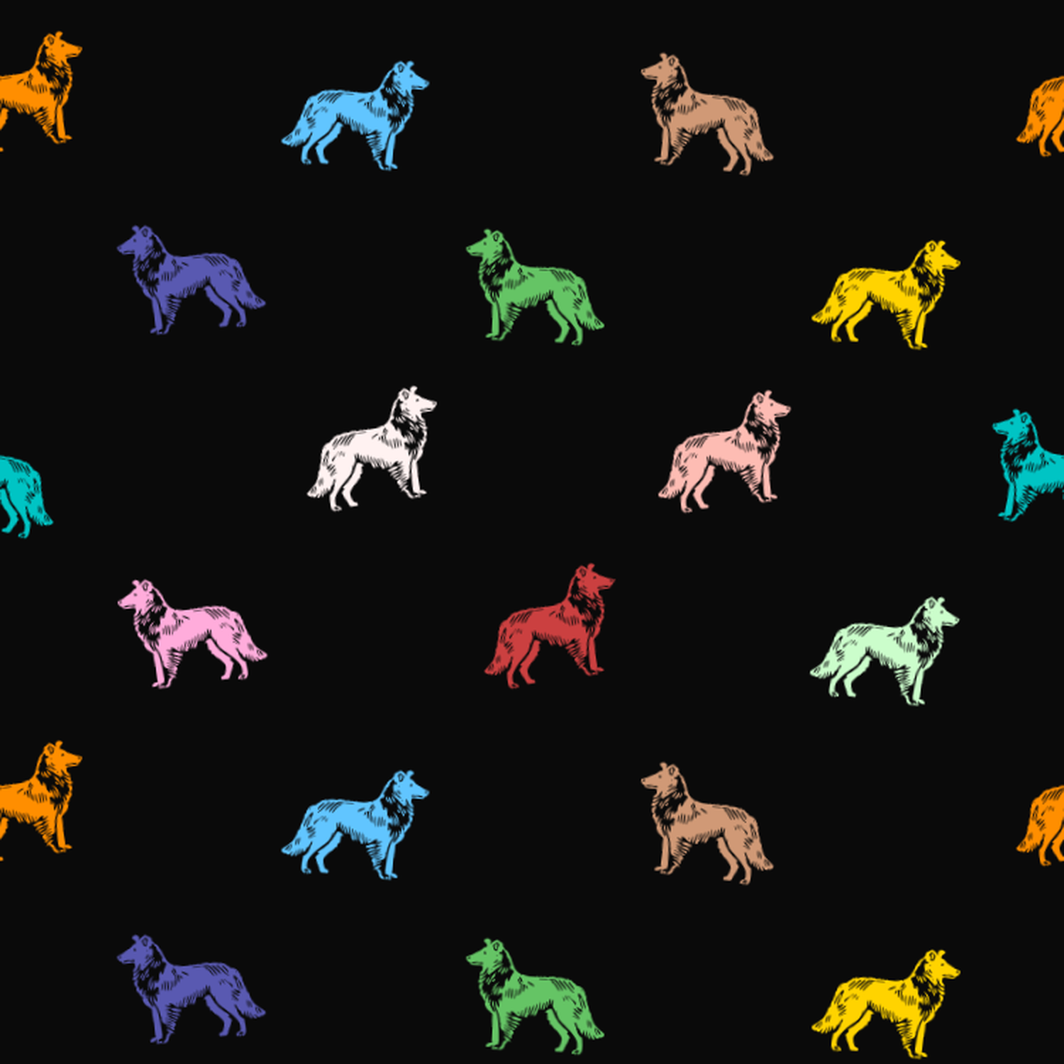 Multicolored Smooth Collie Pattern on a Dark Background